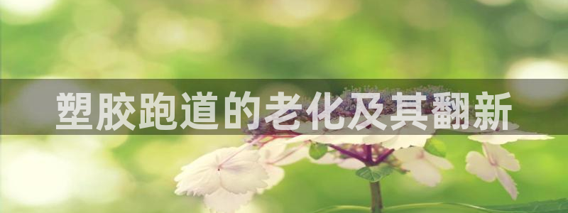 谈球吧官网入口：塑胶跑道的老化及其翻新