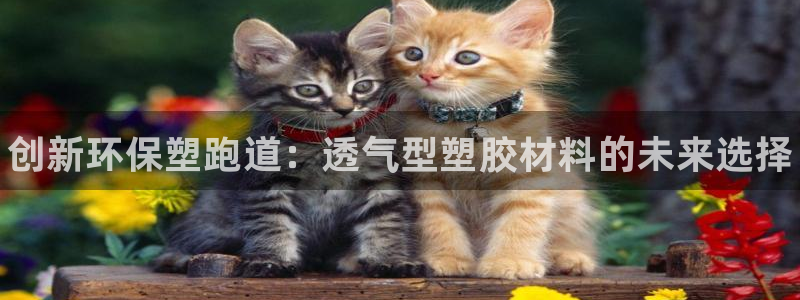 谈球吧官网在线入口免费观看视频下载