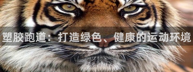 谈球吧网app官网下载