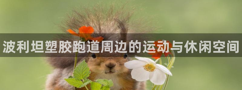 谈球吧能提现不：波利坦塑胶跑道周边的运动与休闲空间