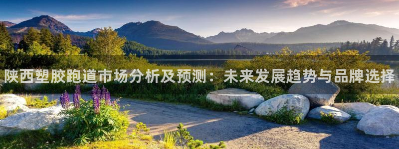 谈球吧能提现不：陕西塑胶跑道市场分析及预测：未来发展