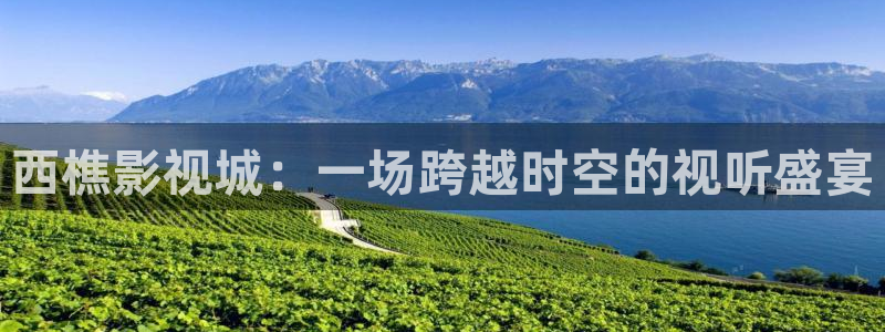 五五五电影官网在线看免费