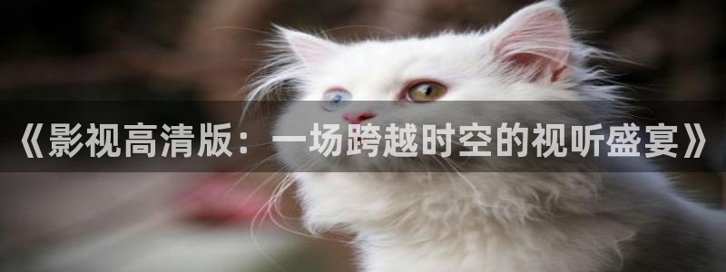五五影视官方网：《影视高清版：一场跨越时空的视听盛宴》