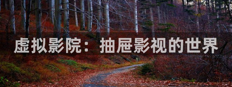 五五五影院：虚拟影院：抽屉影视的世界
