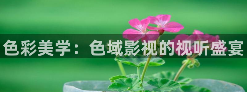 五五影院：色彩美学：色域影视的视听盛宴