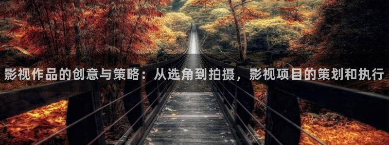 五五视电影：影视作品的创意与策略：从选角到拍摄，影视项目的策划和执行