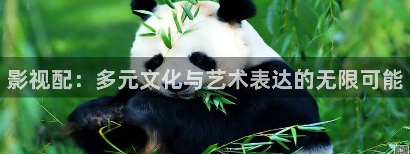 五五电影官网：影视配：多元文化与艺术表达的无限可能