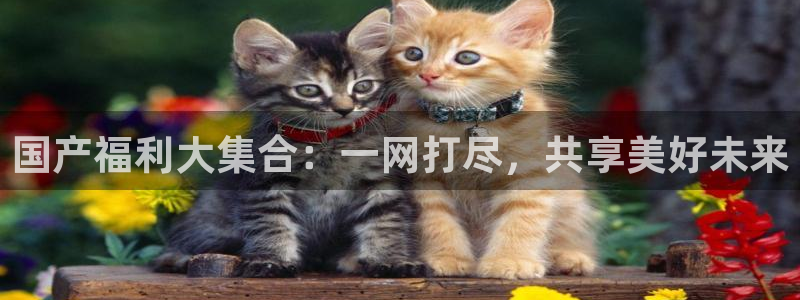 五五理论电影