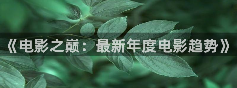 五五视电影